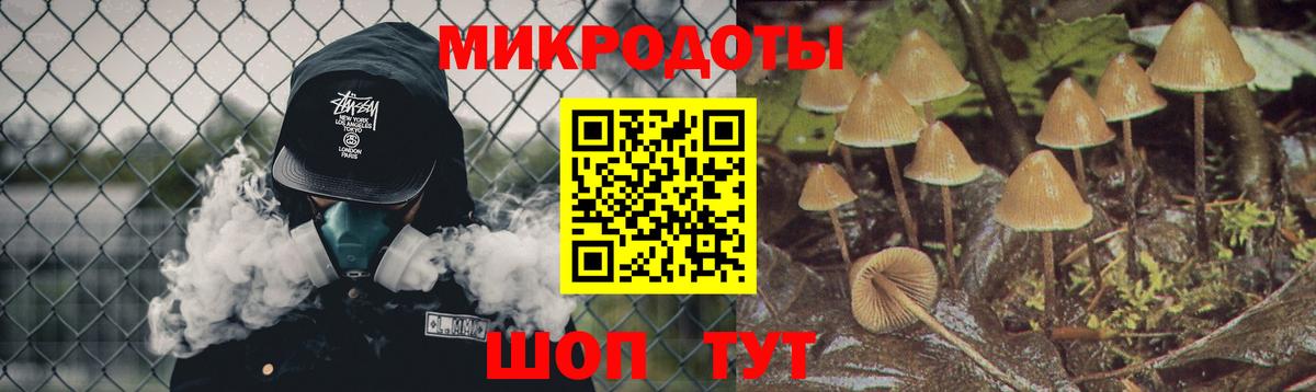 Галлюциногенные грибы Psilocybe  Вход с VPN  дарнет шоп  Саяногорск 